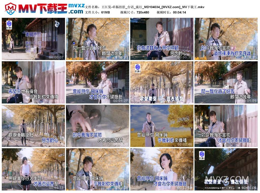 王江发-牵肠挂肚_台语_流行_MD104034